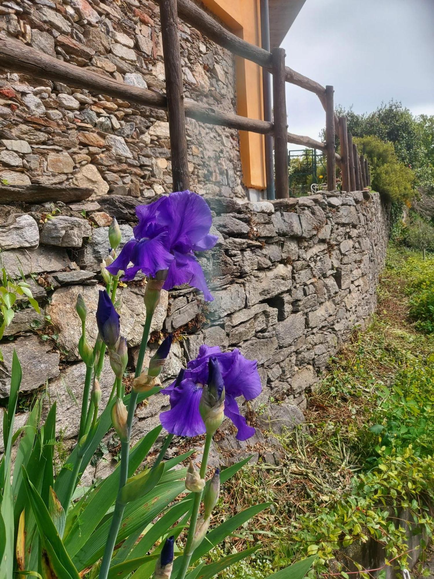 La Nave B&B Monteggio Exterior photo